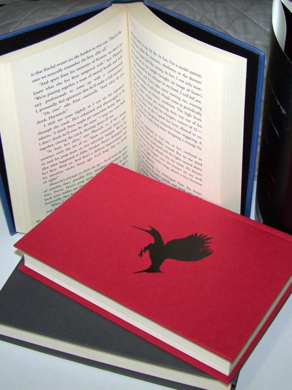 The Hunger Games Series Suzanne Collins - Picture 7 of 8